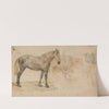Studies van een paard (1845 - 1926) by Willem Carel Nakken