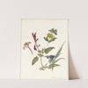 Studies van veldbloemen by Pieter Ernst Hendrik Praetorius