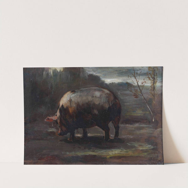 Studio di maialino (1889) by Cesare Viazzi