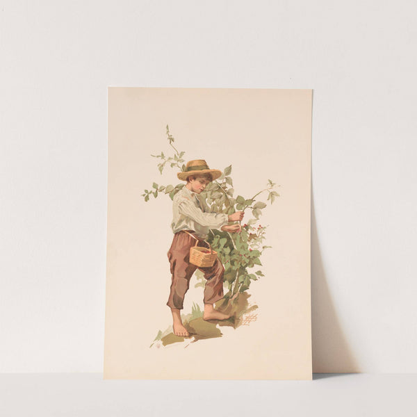 Study. Barefoot boy picking berries (1886) by Lizbeth Bullock Humphrey