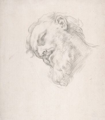 Study for a Head of a Man