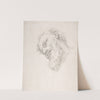 Study for a Head of a Man (1625–1713) by Carlo Maratti