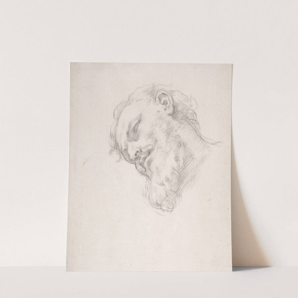 Study for a Head of a Man (1625–1713) by Carlo Maratti
