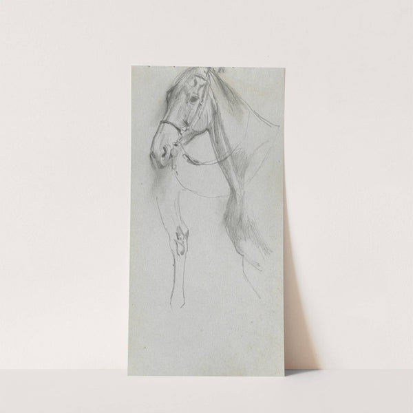 Study for a Horse (1860s) by Ernest Meissonier