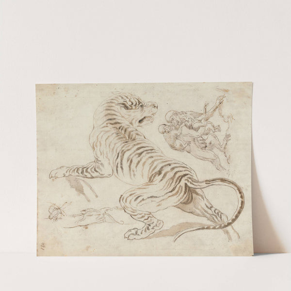 Study for a Tiger and Monkeys by James Northcote