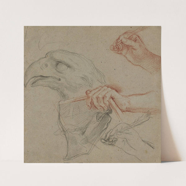 Study for an eagle’s head, three studies for a hand with a quill_and one study for a hand holding a book (1624 – 1714) by Carlo Maratti