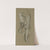 Study for Figure of Fortune. Mantelpiece (ca. 1893) by Elihu Vedder