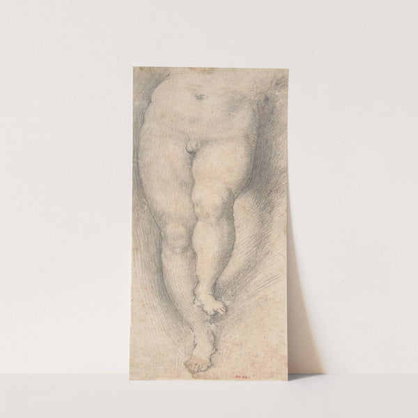 Study for Lower Part of Torso and Legs of a Young Boy (1568–1640) by Cristoforo Roncalli