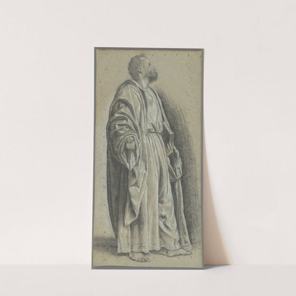 Study for Saint Peter by Giovanni Girolamo Savoldo