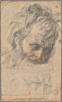 Study for the Head of Saint Joseph