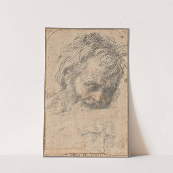 Study for the Head of Saint Joseph (1526–1527) by Andrea del Sarto