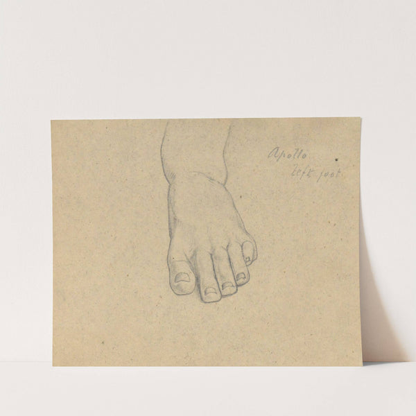 Study for The Judgment of Jupiter (Apollo, left foot) by Samuel Finley Breese Morse