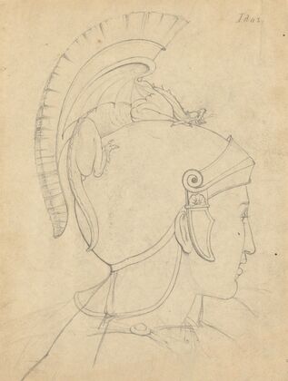 Study for The Judgment of Jupiter (Idas, head)