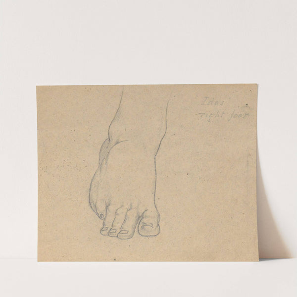 Study for the Judgment of Jupiter (Idas, right foot) by Samuel Finley Breese Morse