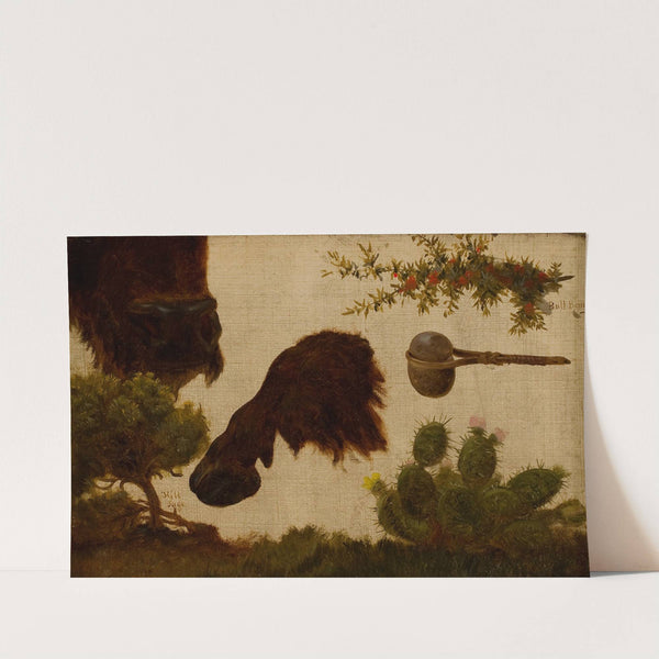 Study for ‘The Wounded Buffalo’; hill sage, buffalo head and hoof, bull berry, stone axe and cactus … (c.1858–62) by Charles Ferdinand Wimar