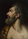 Study Head of a Bearded Man