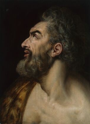 Study Head of a Bearded Man
