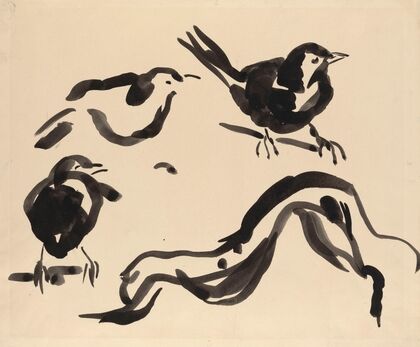 Study of a Blackbird