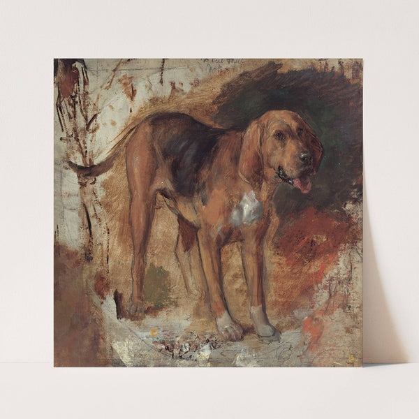 Study of a bloodhound (1848) by William Holman Hunt