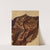 Study of a Brocade Hanging by Józef Simmler
