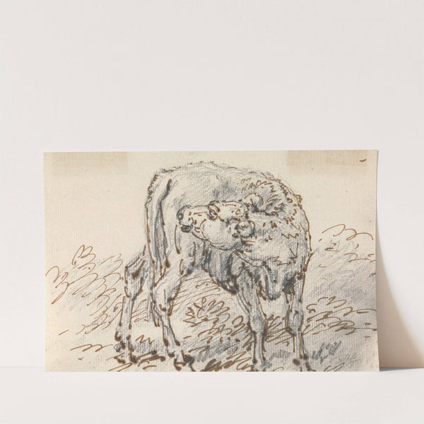 Study of a Calf by Sawrey Gilpin