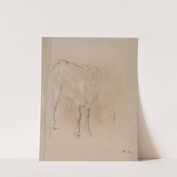 Study of a Calf by James Ward