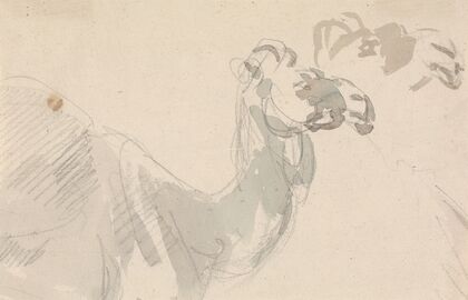 Study of a Camel