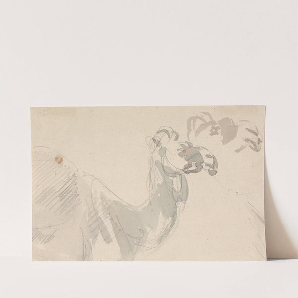 Study of a Camel by Sawrey Gilpin