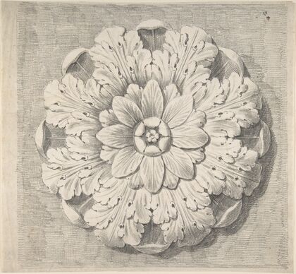 Study of a Classical Rosette