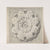 Study of a Classical Rosette by Thomas Hardwick
