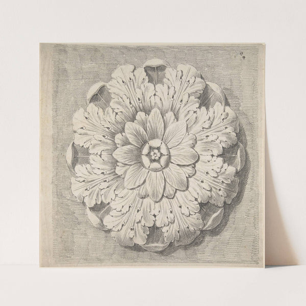 Study of a Classical Rosette by Thomas Hardwick
