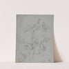 Study of a Climbing Plant (Pumpkin Family) by James Ward