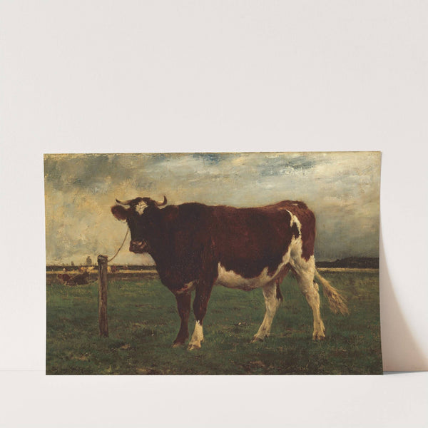 Study of a Cow (1870-90) by Émile van Marcke