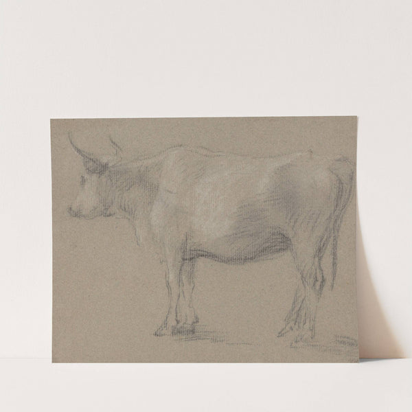 Study of a Cow by Thomas Gainsborough