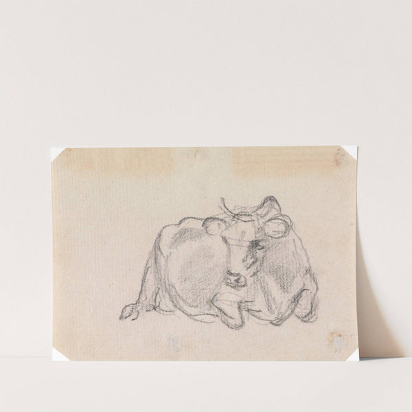 Study of a cow by Sawrey Gilpin