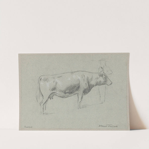 Study of a Cow (1895) by Hans Thoma