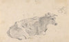 Study of a cow lying down, and facing right