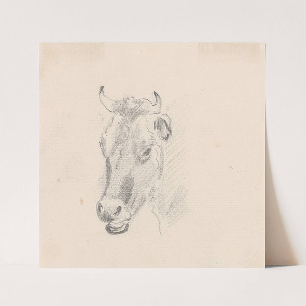 Study of a Cow’s Head by Sawrey Gilpin