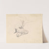 Study of a Cow's Hoof by Sawrey Gilpin