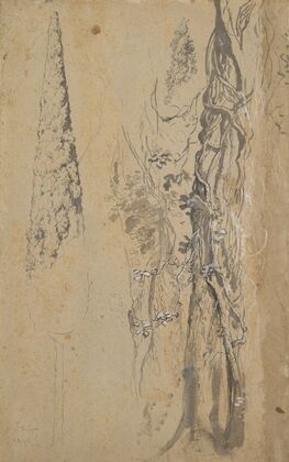 Study of a Cypress and Two Overgrown Trees