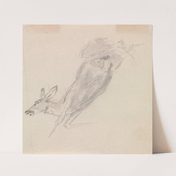 Study of a dead deer by Sawrey Gilpin