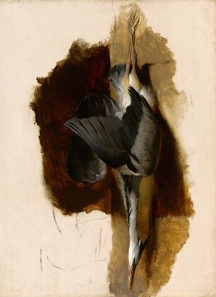 Study of a Dead Heron