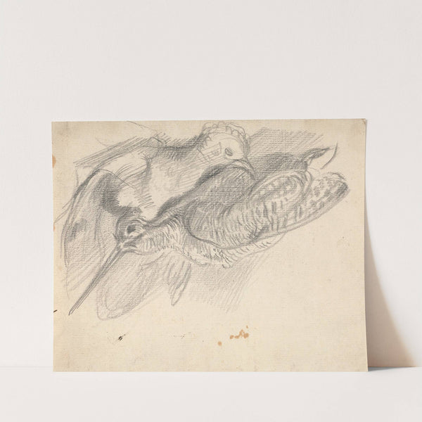 Study of a Dead Woodcock and Another Bird by Sawrey Gilpin