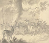 Study of a Deer; Stag in Foreground with a Group of Does and Fawns Under a Tree