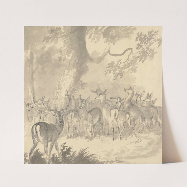 Study of a Deer; Stag in Foreground with a Group of Does and Fawns Under a Tree by Robert Hills