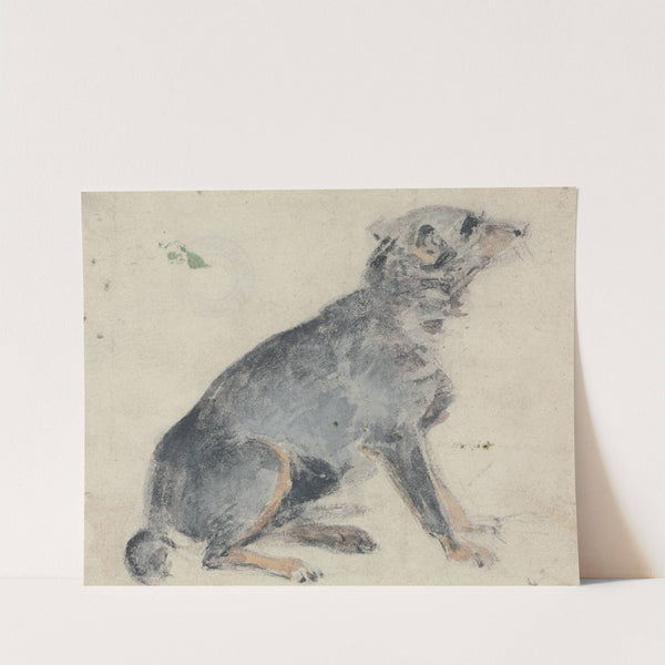 Study of a Dog (1840s) by David Cox