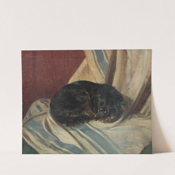 Study of a Dog Lying Down (1882) by Friedrich Carl von Scheidlin