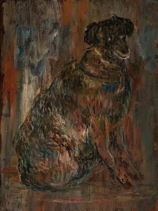 Study of a dog (Malina)