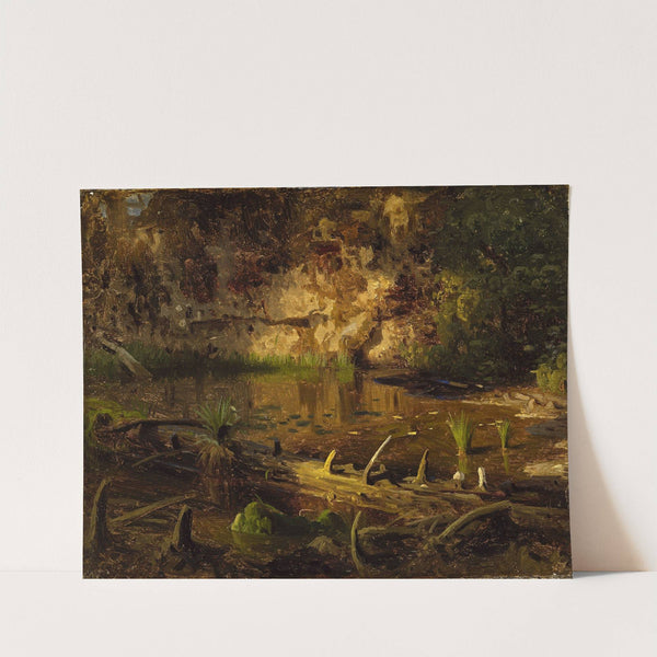 Study of a fallen Tree by August Cappelen