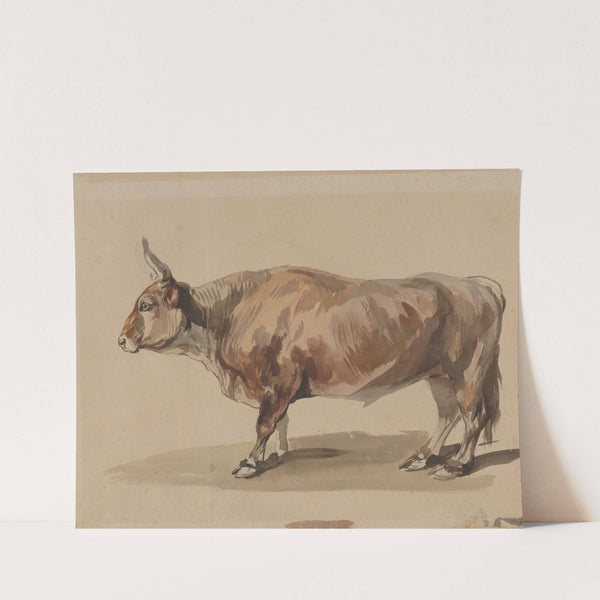 Study of a fawn ox by Piotr Michałowski